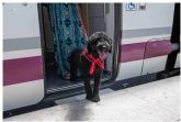 Los perros de hasta 40 kilos podr�n viajar en todos los trenes