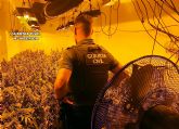 La Guardia Civil desmantela en �guilas un grupo delictivo que cultivaba gran cantidad de marihuana