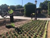 El Ayuntamiento adorna Murcia con 70.000 flores de colores para recibir la Feria de Septiembre