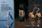La fauna de la Regi�n protagoniza las fotograf�as ganadoras de la cuarta edici�n del concurso #MeGustaRegi�nDeMurcia