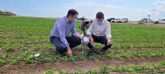 La Comunidad avanza en la instalacin de 1.000 sondas de humedad en el entorno del Mar Menor que garantizan eficiencia en el uso de agua y fertilizantes
