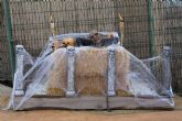 Terra Natura Murcia celebra Halloween con cuatro jornadas de actividades y experiencias nocturnas