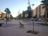 Parques y Jardines sustituye una treintena de rboles en Ronda Sur para dar sombra y embellecer la zona