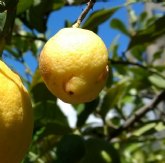 Murcia, el cuarto destino m�s buscados por los espanoles para viajar en 2024