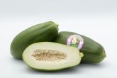 Anecoop impulsa la comercialización de papaya verde, la papaya que se consume como una hortaliza