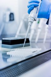 El CTNC inicia una investigacin para validar subproductos agroalimentarios que permita a la industria del plstico producir bioplsticos rentables y eficientes