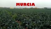 Vídeo 'Murcia, ¿esencia de huerta? ¿Alma de ciudad?
