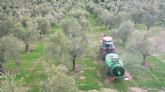 El sistema AIs de Pulverizadores Fede reduce hasta en un 66% la deposici�n en suelo de olivar