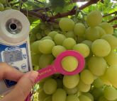 Moyca integra una aplicaci�n para digitaliza los muestreos de calidad