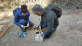Se ponen en marcha las primeras medidas de conservación de murciélagos forestales en Albacete