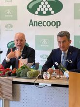 Anecoop aumenta su cifra de negocio un 2,7% frente a un descenso en el volumen comercializado