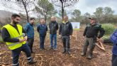 La Comunidad inicia la restauracin forestal plantando 4.300 ejemplares de especies autctonas en Calblanque