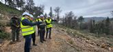 El Gobierno regional impulsa en 2026 la mayor inversión forestal de su historia para frenar el decaimiento y prevenir incendios