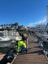 El Gobierno regional defiende la operatividad de los puertos y reclama menos trabas administrativas en la normativa estatal