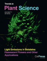 La UMU analiza las aplicaciones biotecnolgicas de la fluorescencia en pigmentos vegetales