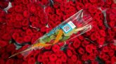 Los hospitales de Barcelona recibirán más de 37.300 rosas en Sant Jordi
