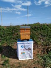 Convenio para instalar una colmena inteligente, monitorizar el comportamiento de las abejas y garantizar su supervivencia