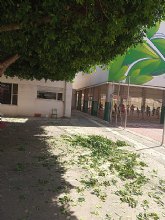 Brigada municipal: trabajos del 20 y 21 de mayo