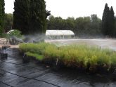 El Centro de Conservacin de Flora Silvestre de la Regin de Murcia incorporar un nuevo invernadero de 144 metros cuadrados