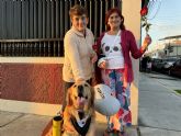 El traslado con mascotas, una necesidad cada vez m�s presente en la movilidad peruana