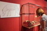 El Museo Arqueolgico de Murcia organiza visitas guiadas a la exposicin sobre el yacimiento de Cueva Victoria