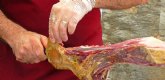 Las exportaciones de jamn curado crecen un 20,22% en volumen y un 25,41% en valor durante el primer trimestre de 2023