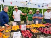El Imida desarrolla dos nuevas variedades de melocot�n para impulsar la competitividad del sector frut�cola