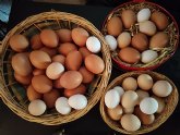 ¿Cuántos huevos se consumen en la Región de Murcia?