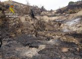 La Guardia Civil detiene al presunto autor de ocho incendios en Abarn y Blanca
