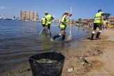 El Ayuntamiento cierra las playas desde Cala del Pino a Playa Honda para proceder a la limpieza y retirada de peces muertos