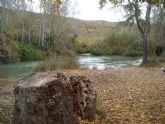 Organizan una jornada para conocer y recuperar el bosque de ribera en la reserva de Cañaverosa