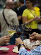 'La Noche Tem�tica del Vino' re�ne a cientos de asistentes tras vender 2.200 tickets