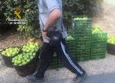 La Guardia Civil esclarece seis delitos de hurto continuado de ctricos en explotaciones agrcolas