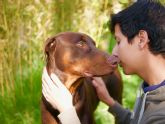 Purina: 4 beneficios de crecer con una mascota y promover su cuidado responsable