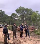 La Comunidad realiza trabajos de gestin forestal sostenible en la Sierra de Ricote para la adaptacin al cambio climtico
