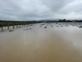 La estimación de daños provocados por la crecida del río Ebro en explotaciones agrícolas y ganaderas supera los 5 millones de euros
