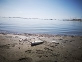 Medio Ambiente solicita a la ministra Ribera una reunin para impulsar la coordinacin en relacin a la recuperacin y proteccin del Mar Menor