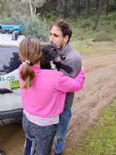 PACMA anuncia que el perro Boro ha sido rescatado durante la mañana de este jueves por bomberos forestales de INFOCA