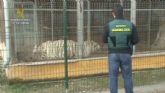 Desarticulada una red que exportaba cebras enfermas a Dubai mediante documentacin falsificada