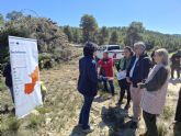 El Gobierno regional impulsa en Ceheg�n una acci�n piloto para adaptar los pinares al cambio clim�tico y reducir el riesgo de incendios