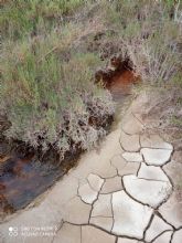 IU exige intervenciones urgentes ante la contaminacin del Guadalentn a su paso por el centro de Lorca