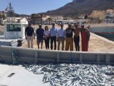 Cabo Tiñoso tendr una gestin compartida como reserva marina junto a Cabo de Palos-Islas Hormigas