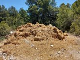 Denuncian la demolición 'ilegal y clandestina' de la que fue la casa de balas de paja más antigua de la Península, en Sierra Espuña Denuncian la demolición 'ilegal y clandestina' de la que fue la casa de balas de paja más antigua de la Península, en Sierra Espuña