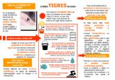 Salud difunde consejos para evitar la proliferacin de mosquito tigre en la Regin