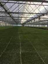 AITECA, nueva asociacin en FREMM, defiende en el contexto del Proyecto de Ley del Mar Menor la oportunidad de posicionar a la agricultura protegida como marca propia de la Regin de Murcia