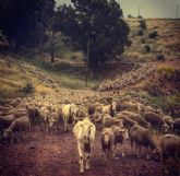 El mejor bombero forestal, la ganadera extensiva
