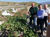 La Comunidad facilitará a los agricultores más de 1.500 kilos de producto para curar los cultivos afectados por el granizo