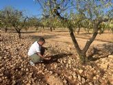 El PSOE exige al Gobierno regional ayudas directas inmediatas para los agricultores afectados por las tormentas y un seguro agrario adaptado a la realidad clim�tica