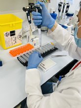 Los hospitales Morales Meseguer y Reina Sofa unen sus recursos de investigacin con la creacin de una Unidad coordinada conjunta