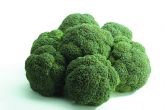 Se prev� una mejor�a de la producci�n de br�coli gracias a las abundantes lluvias de este otoño